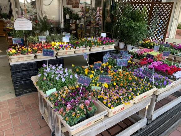 「やなぎ花園」　（東京都八王子市）の花屋店舗写真3